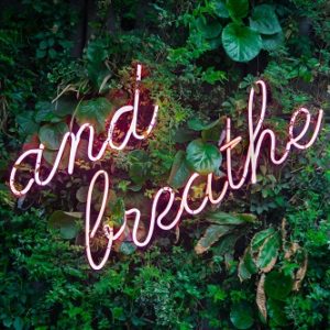 cbd oil for anxiety reviews