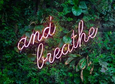 cbd oil for anxiety reviews