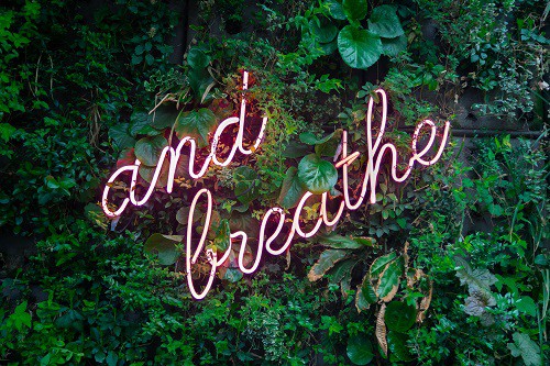 cbd oil for anxiety reviews