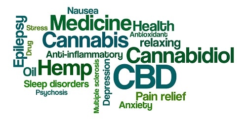 does cbd oil get you high