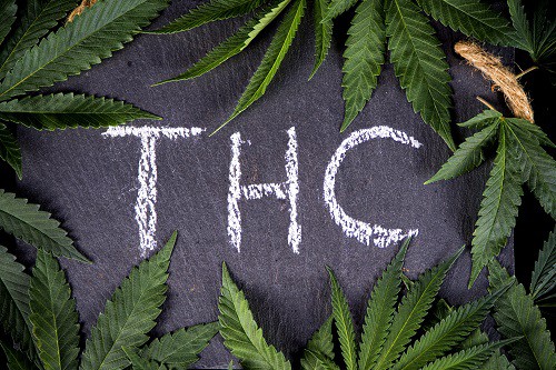 hemp cbd oil benefits