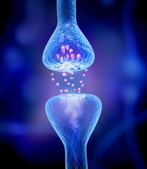 cbd receptors