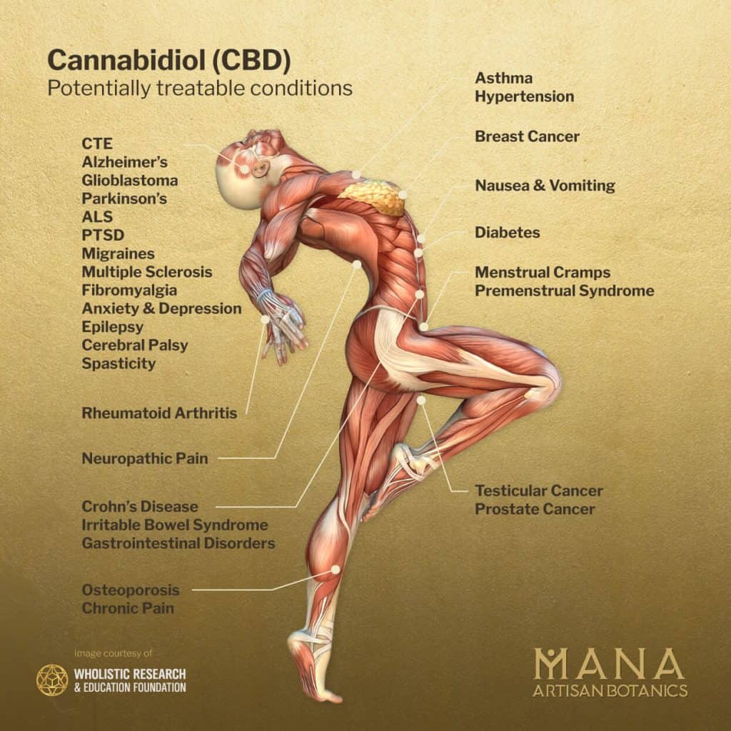 endocannabinoid system and cbd