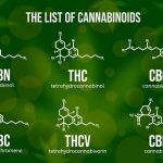 CBG Isolate – Where To Buy It?