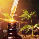 2 of The Best CBD Tinctures – in Review