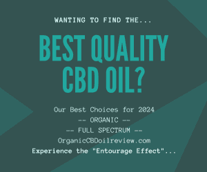 best quality cbd oil 2024